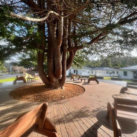 Giants Table And Cottages Maydena Dış mekan fotoğraf