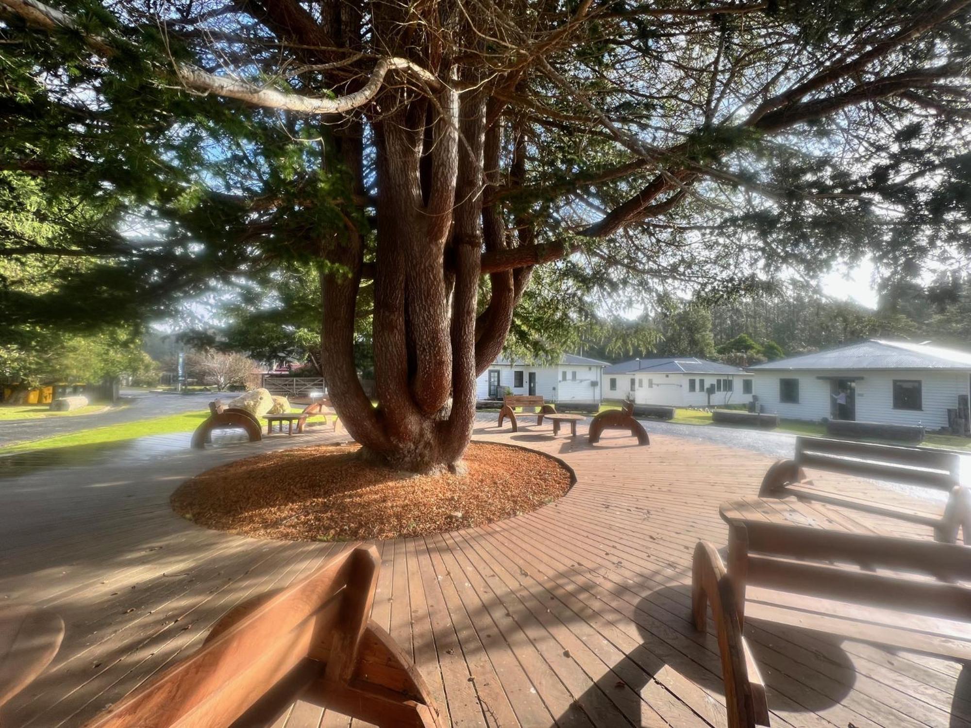 Giants Table And Cottages Maydena Dış mekan fotoğraf